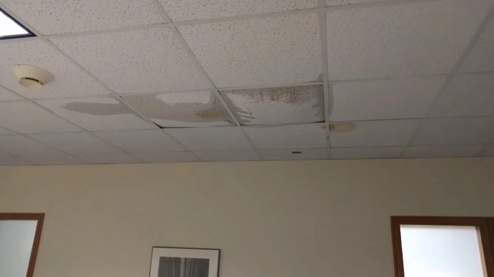 Water-stained ceiling tiles in a commercial office from a hidden leak